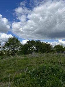 For sale Land SAINT-PIERRE-DE-MONS  33