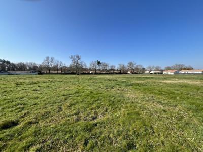 Vente Terrain SAINT-MAGNE 33125