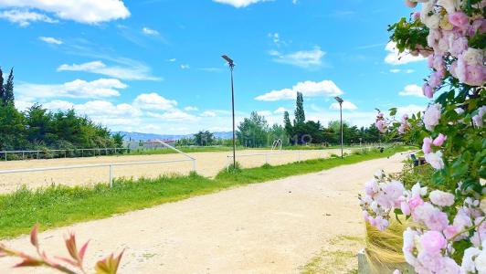Vente Prestige SAINT-REMY-DE-PROVENCE 13210