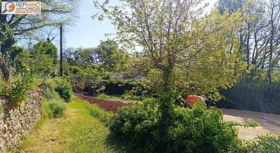 Location Maison 5 pices MONT-DE-MARSAN 40000
