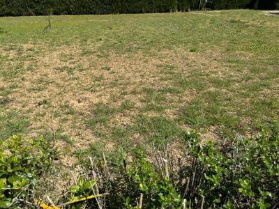 Vente Terrain PAULHAN 34230