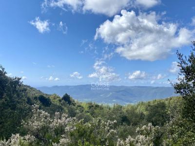 photo For sale Land OLMETO 20