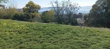 For sale Apartment Cannes CROIX DES GARDES 06400 25 m2