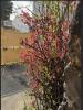 Louer Appartement Bobigny 700 euros