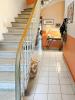 Acheter Maison 150 m2 Montpellier