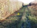 Annonce Vente Terrain Charost