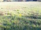 Acheter Terrain Charost Cher