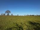 Acheter Maison Pipriac 375000 euros
