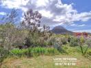 Annonce Vente Terrain Rousson