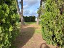 Vente Terrain Saint-andre-de-sangonis 34