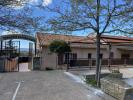 Acheter Commerce 500 m2 Santo-pietro-di-tenda