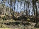 Annonce Vente Terrain