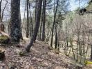 Acheter Terrain Ardeche