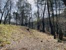 Acheter Terrain 110000 euros