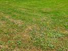 Acheter Terrain 
