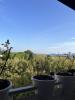 Annonce Vente 5 pièces Appartement