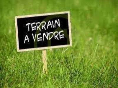 Vente Terrain SOUBRAN 17150