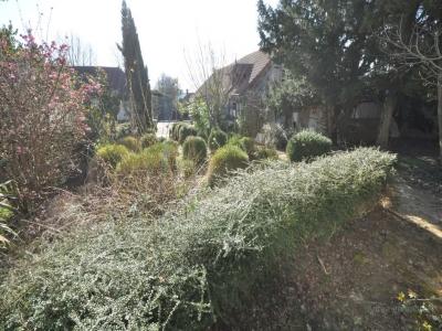 For sale House MONTGUEUX 0