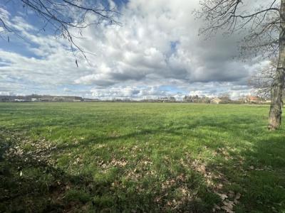 Vente Terrain BELLERIVE-SUR-ALLIER 03700