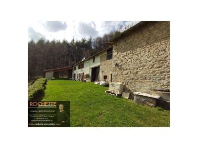 photo For sale House CHAUSSETERRE 42