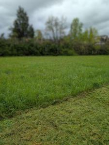 photo For sale Land LACROUZETTE 81