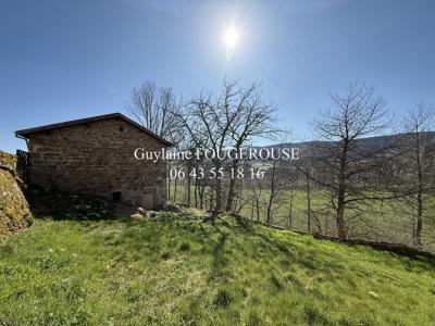 photo For sale House SAINT-ANTHEME 63