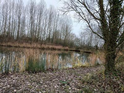 photo For sale Land LILLE 59