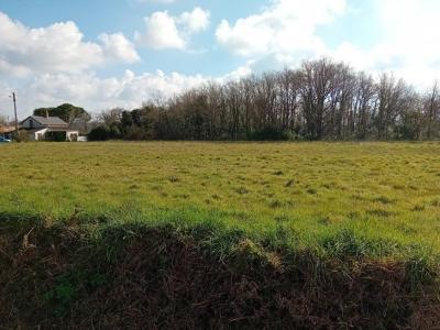 Vente Terrain SAINT-HILAIRE-DE-RIEZ 85270