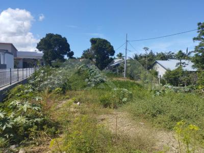 Vente Terrain RIVIERE-SAINT-LOUIS 97421