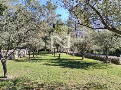 Vente Maison FAYENCE 