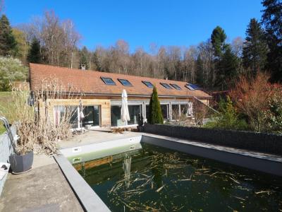 photo For sale Prestigious house GIROMAGNY 90