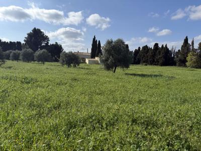 photo For sale House ARGELIERS 11