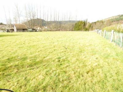 photo For sale Land MOYENMOUTIER 88