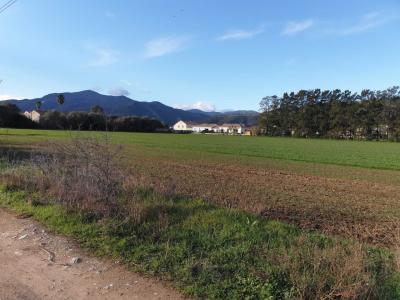 Vente Maison LUCCIANA 