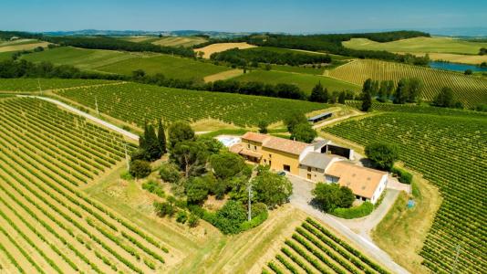 photo For sale Prestigious house BELVEZE-DU-RAZES 11