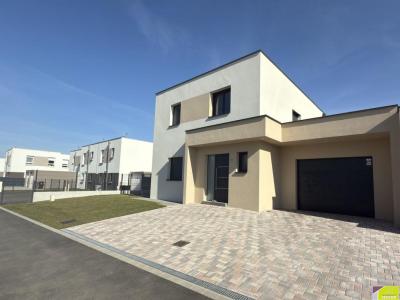 Vente Maison 6 pièces SAINTE-CROIX-EN-PLAINE 68127