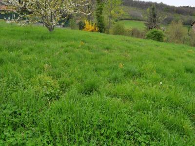 Vente Terrain SAINT-DIDIER-AU-MONT-D'OR 69370