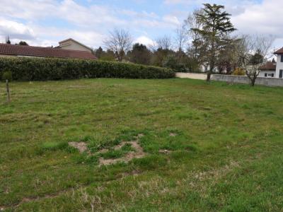 photo For sale Land MONTMERLE-SUR-SAONE 01