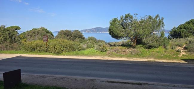 photo For sale Apartment PIETROSELLA 20