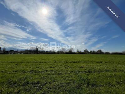 Vente Terrain MONTREJEAU 31210