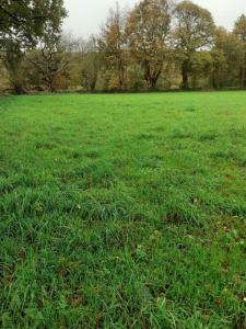 Vente Terrain LANDEAN 35133