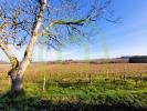 Annonce Vente Terrain Soubran