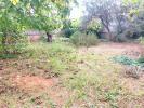 For sale Land Frontignan CALME 34110
