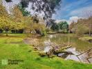 Acheter en viager Maison Luynes 130000 euros