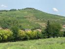 Annonce Vente Terrain Soultzmatt