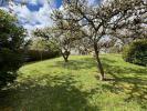 House SAUVIAT-SUR-VIGE 
