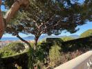 House CANNES 