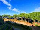 For sale Apartment Grau-du-roi PORT CAMARGUE PLAGE SUD 30240 19 m2
