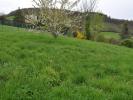 Annonce Vente Terrain