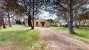 House MALVES-EN-MINERVOIS 